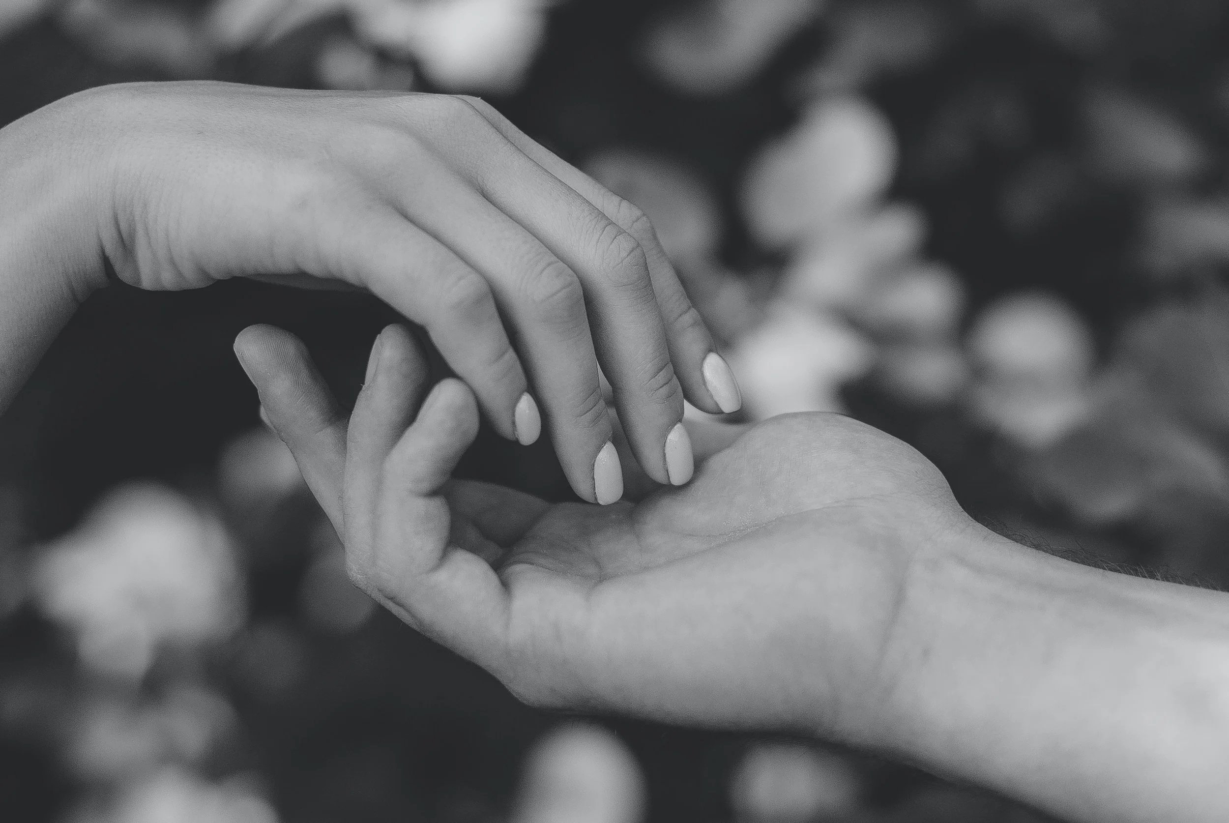 A couple holding hands